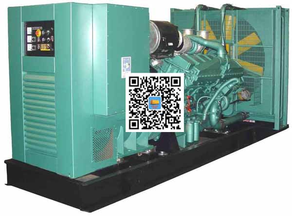青原笼型异步发电机的电力电子控制技术